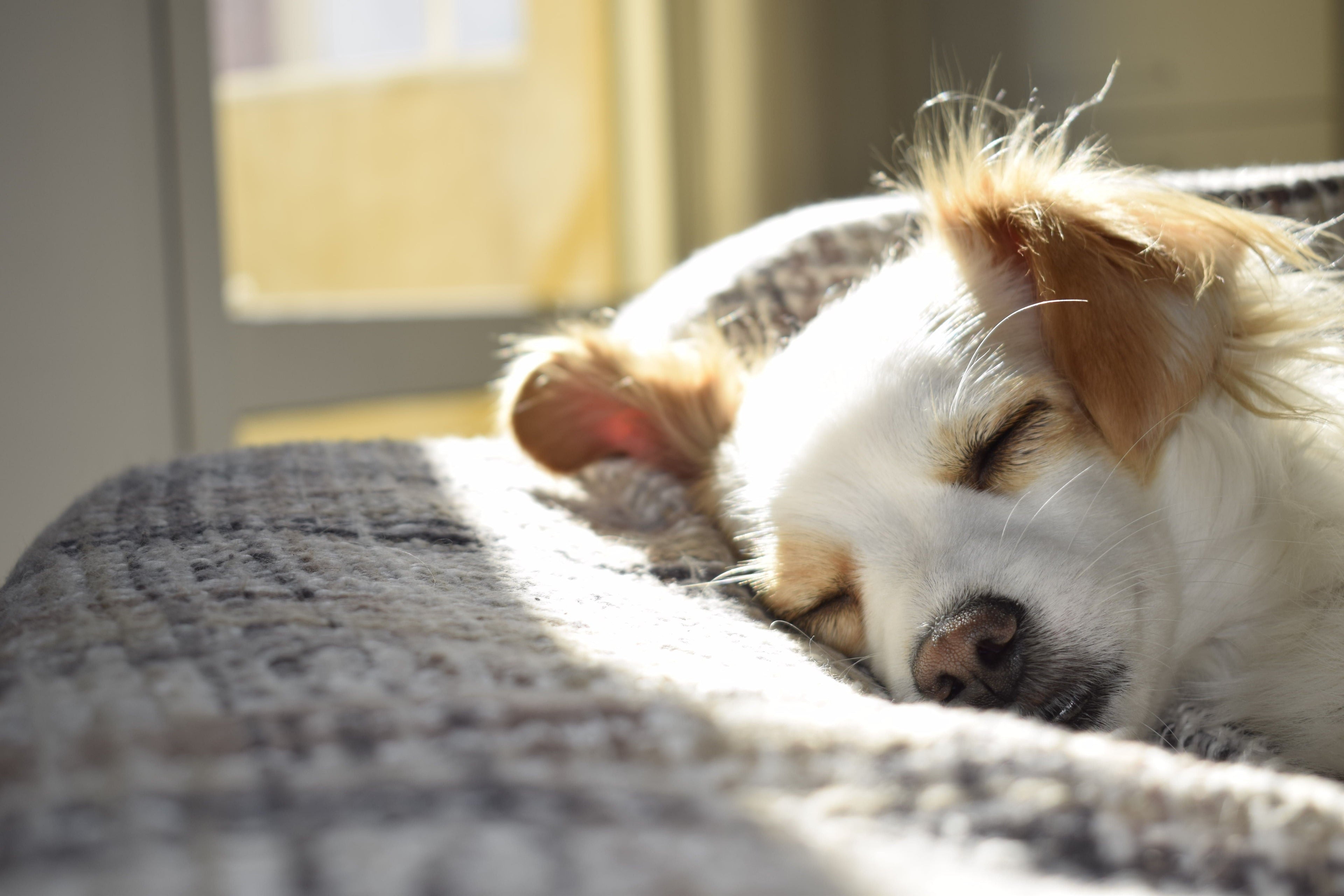 Calm and Sleep